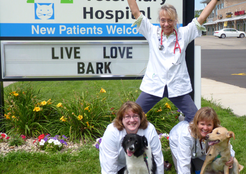 Carousel Slide 8: Middleton Veterinary Hospital Veterinary Team
