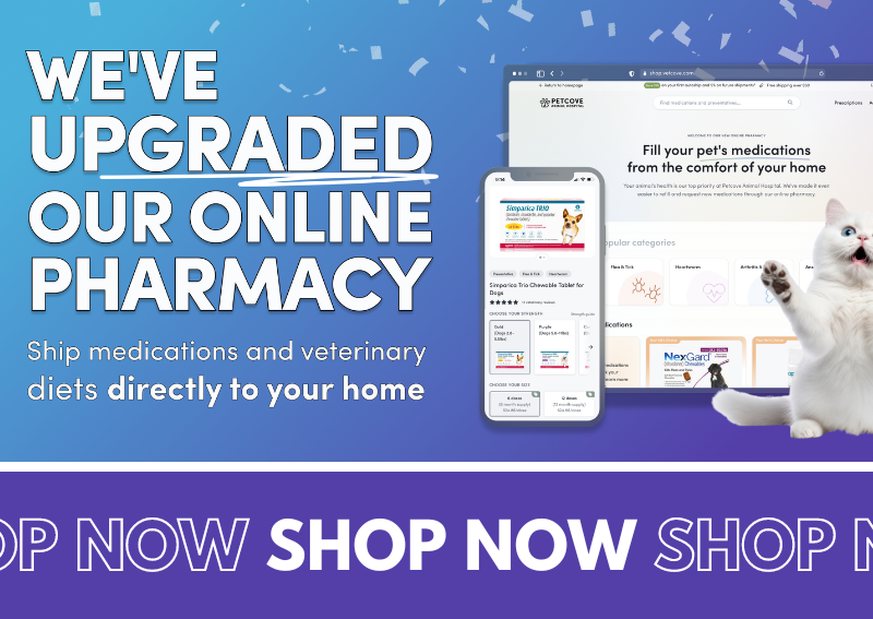 Carousel Slide 2: Middleton online veterinary pharmacy