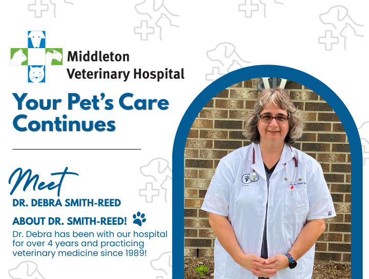 An Important Update from Middleton Veterinary Hospital