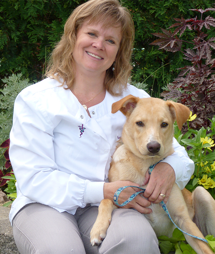 Dr. Ann Sherwood, DVM | Middleton Veterinary Hospital